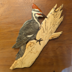 "Pileated Woodpecker" Intarsia