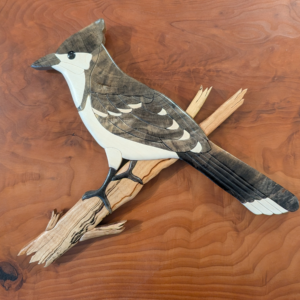 "Scrub Jay" Intarsia