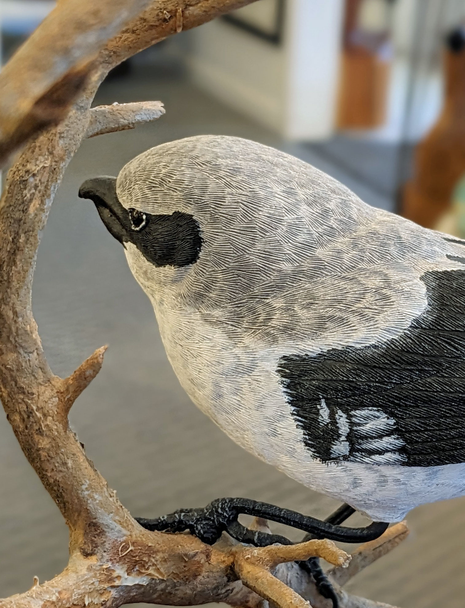 Loggerhead Shrike Carving - Forest Gems Gallery