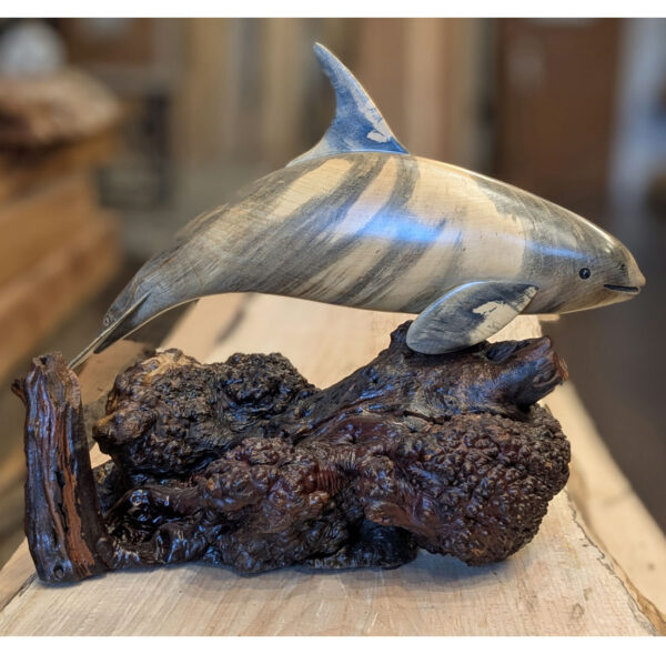 Buckeye Tabletop Orca Whale #1