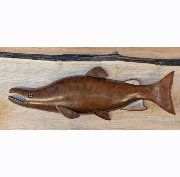 Redwood Burl Spawning Salmon, Left-facing, 22 x 8 x 3