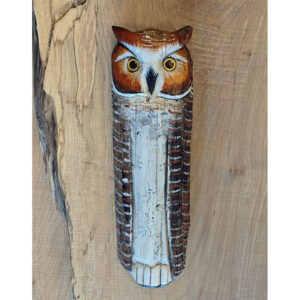 Great Horned Wall Owl 15 x 5 x 2