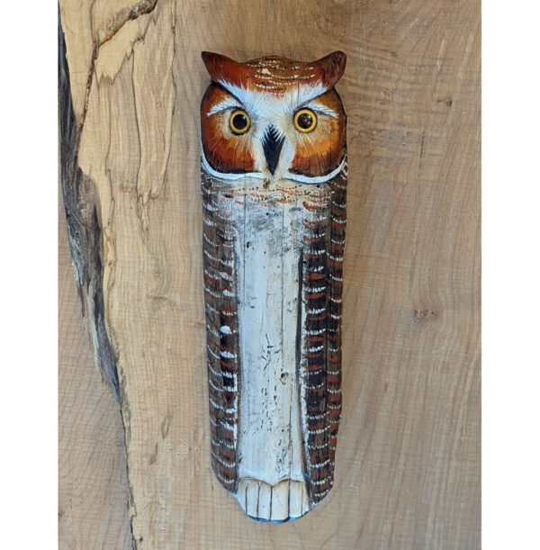 Great Horned Wall Owl 15 x 5 x 2