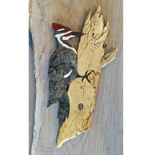 "Pileated Woodpecker" Intarsia