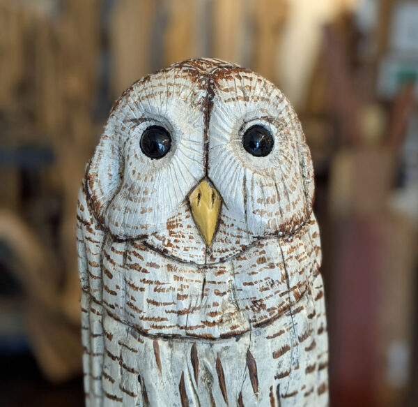 Driftwood Freestanding Barred Owl, 32 x 8 x 5 - Image 2