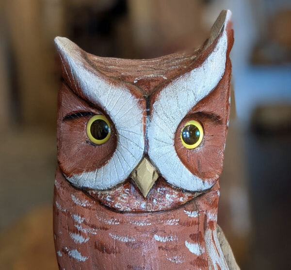 Driftwood Freestanding Screech Owl, 12 x 8 x 6 - Image 4