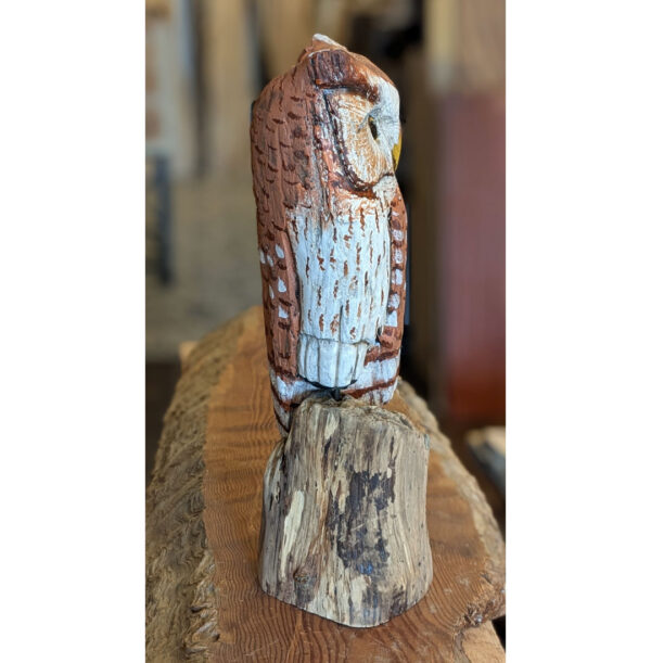 Driftwood Freestanding Screech Owl, 18 x 7 x 6 - Image 3