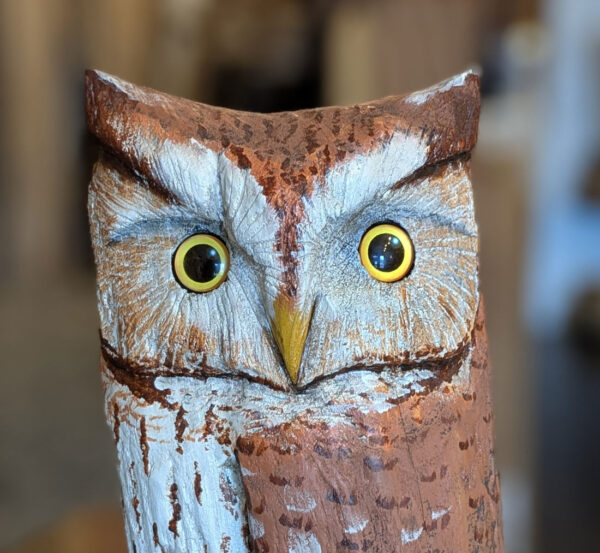 Driftwood Freestanding Screech Owl, 18 x 7 x 6 - Image 4