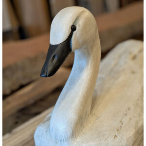 Driftwood Swan, 17 x 13 x 10