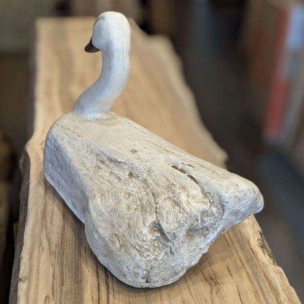 Driftwood Swan, 17 x 13 x 10 - Image 3