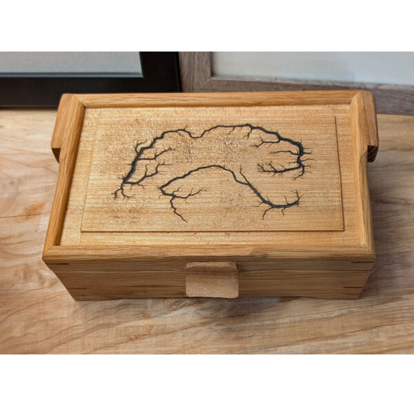 Box, 8.5 x 5.5 x 3, Lichtenburg Process Top, Maple and Oak