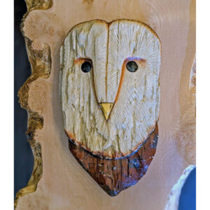 Driftwood Barn Owl Head, 16 x 9 x 3.5