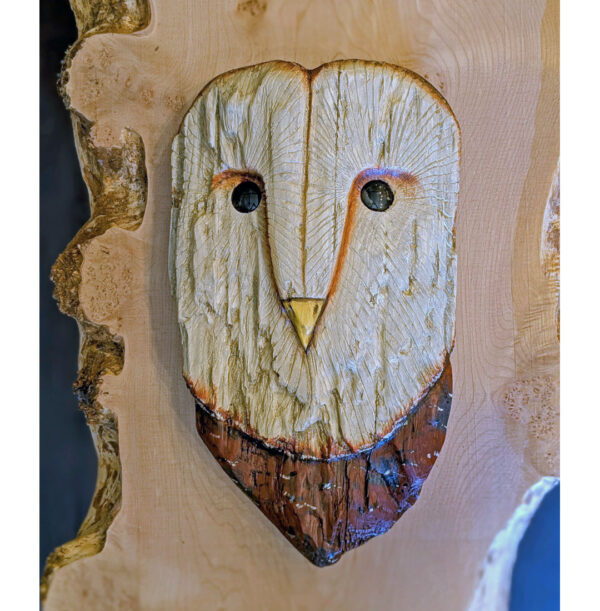 Driftwood Barn Owl Head, 16 x 9 x 3.5