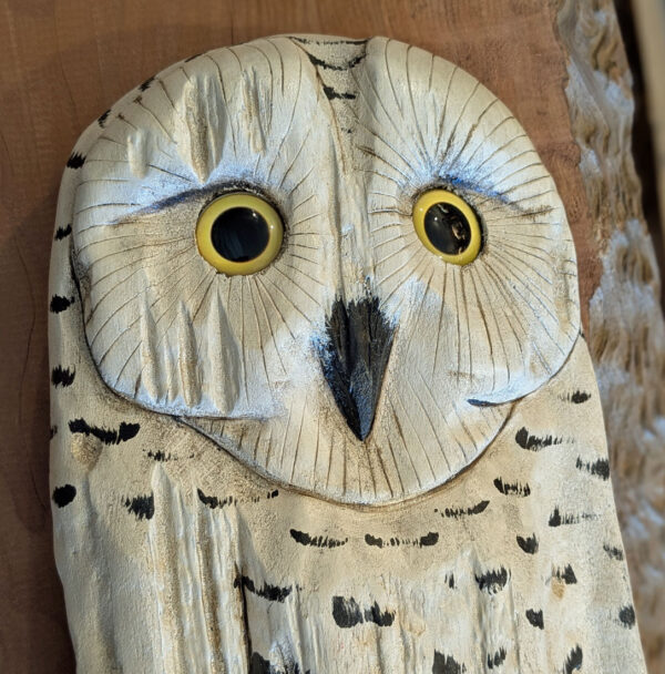 Driftwood Snowy Wall Owl With Mouse 20 x 8 x 4 - Image 2