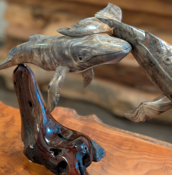 Buckeye Burl Humpback Whale Pair - Image 4