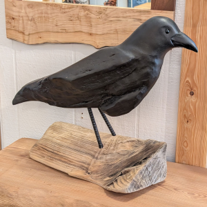 Driftwood Crow #2 21 x 21 x 9