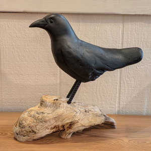 Driftwood Crow #3 15 x 14 x 5